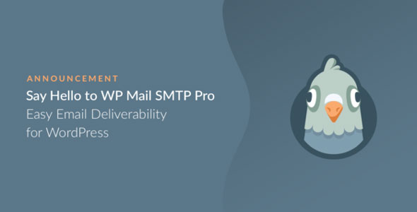 WordPress发送邮件插件：WP Mail SMTP Pro 已激活中文版-CAT