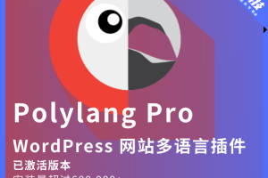 WordPress 多语言插件：Polylang Pro 3.1.2 已激活包更新版
