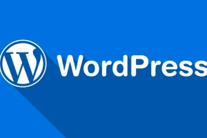 WordPress 5.9.2中文版本地下载_安装包程序（最新）